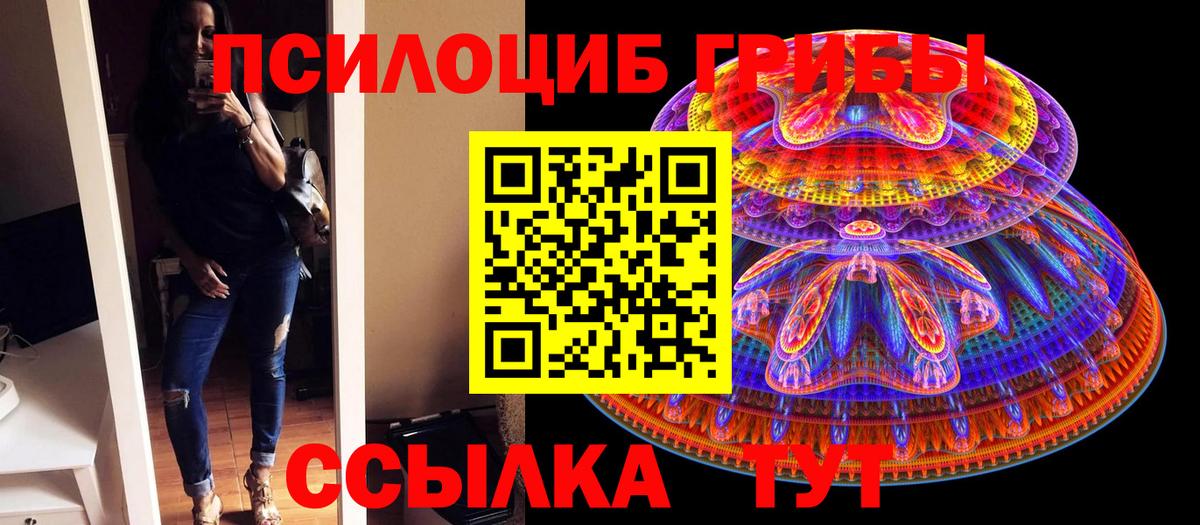 Зерноград  Псилоцибиновые грибы прущие грибы  даркнет сайт  Вход с VPN 
