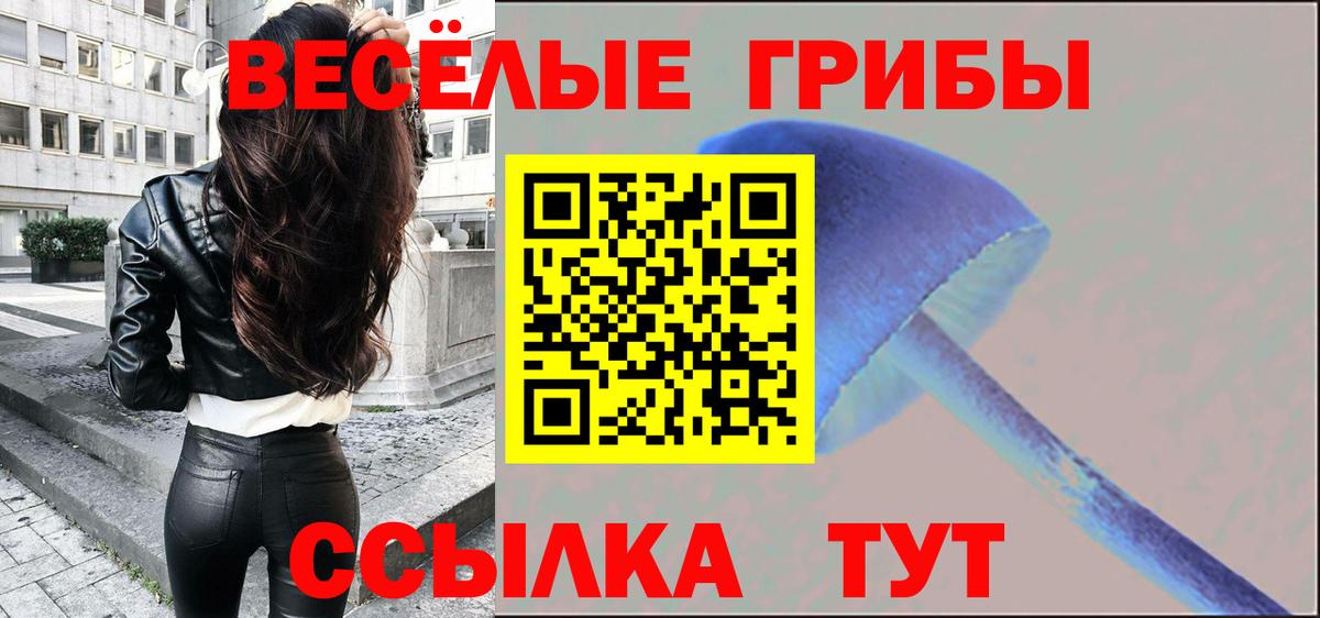 Галлюциногенные грибы Cubensis Зерноград